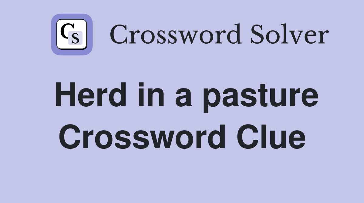 Herd in a pasture Crossword Clue