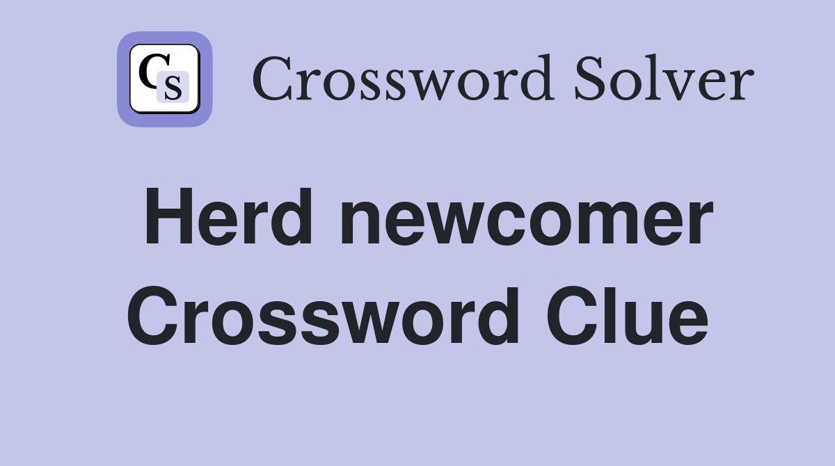 Herd newcomer Crossword Clue