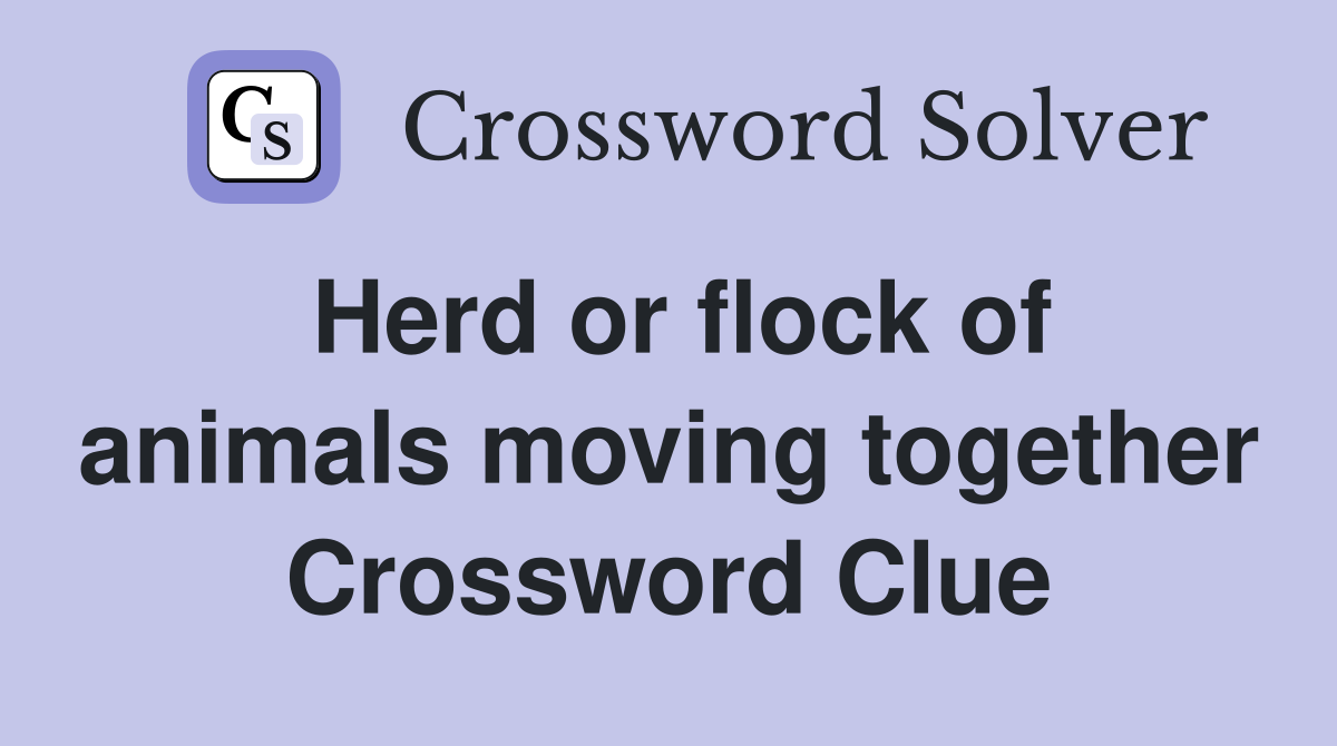 Herd or flock of animals moving together Crossword Clue