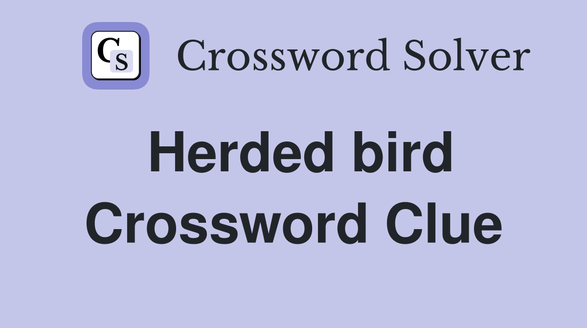 Herded bird Crossword Clue