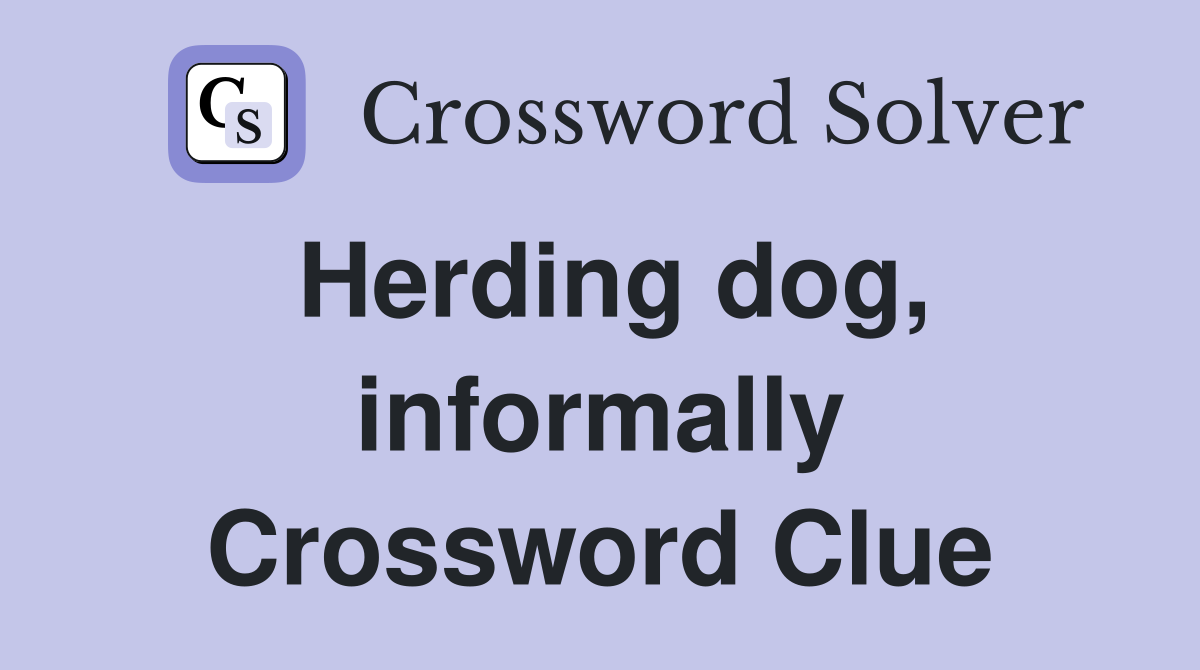 Herding dog, informally Crossword Clue