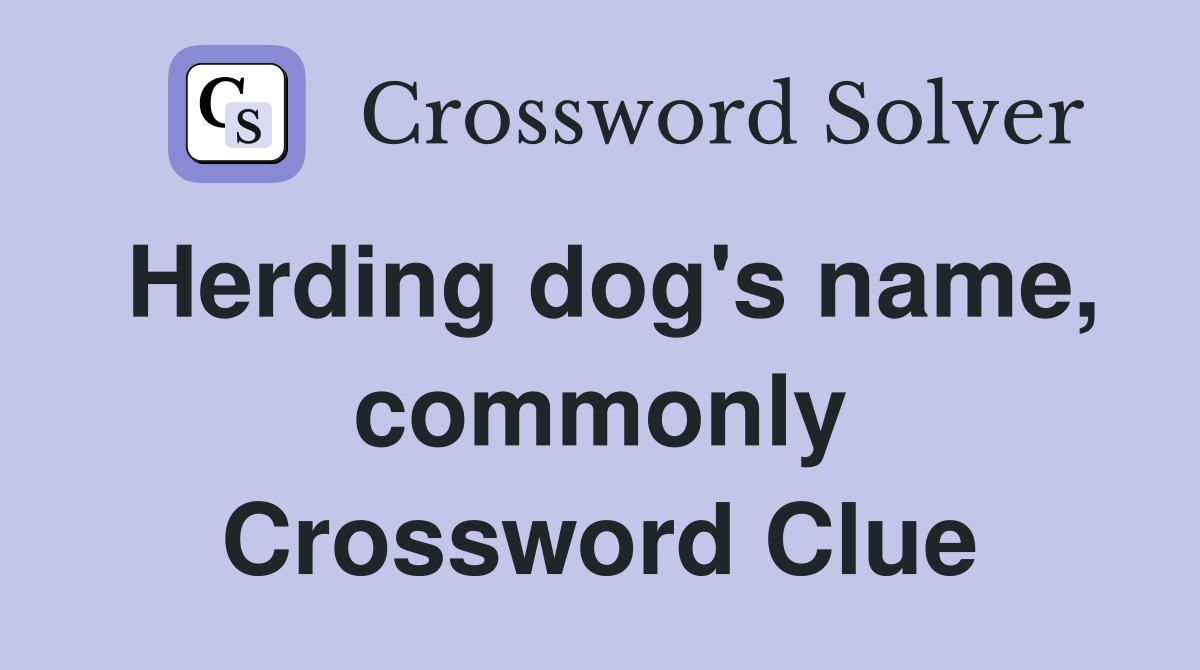 Herding dog's name, commonly Crossword Clue