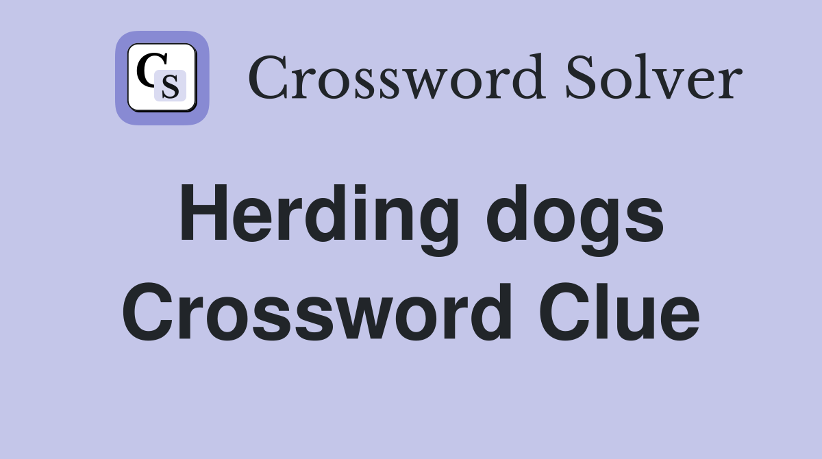 Herding dogs Crossword Clue