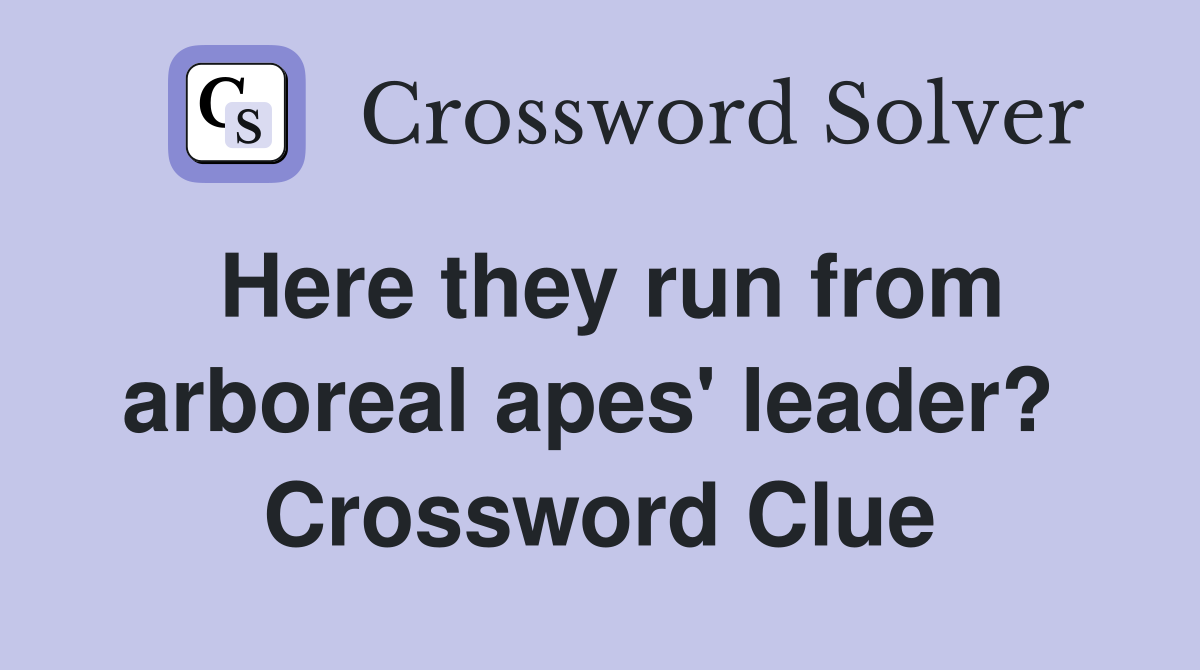 Here they run from arboreal apes' leader?  Crossword Clue