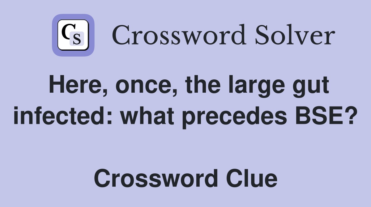 Here, once, the large gut infected: what precedes BSE?  Crossword Clue