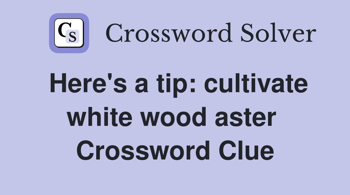 Here's a tip: cultivate white wood aster  Crossword Clue