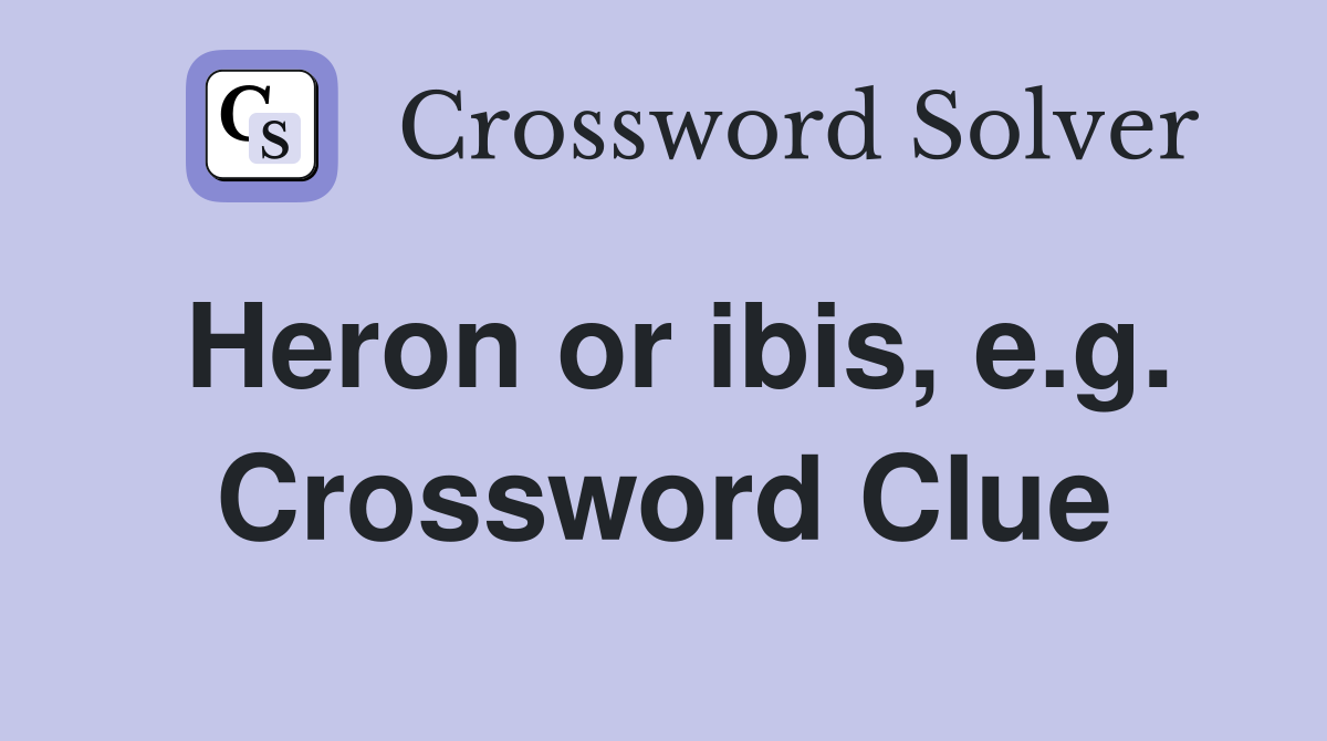 Heron or ibis, e.g. Crossword Clue