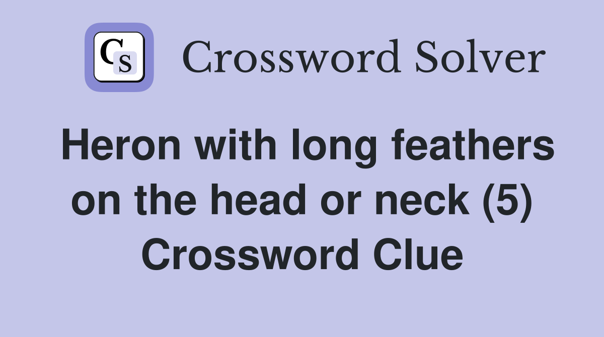 Heron with long feathers on the head or neck (5) Crossword Clue