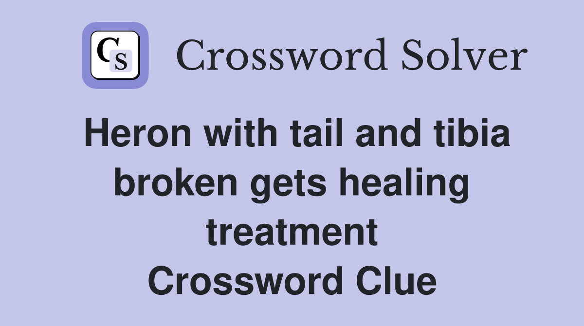 Heron with tail and tibia broken gets healing treatment Crossword Clue