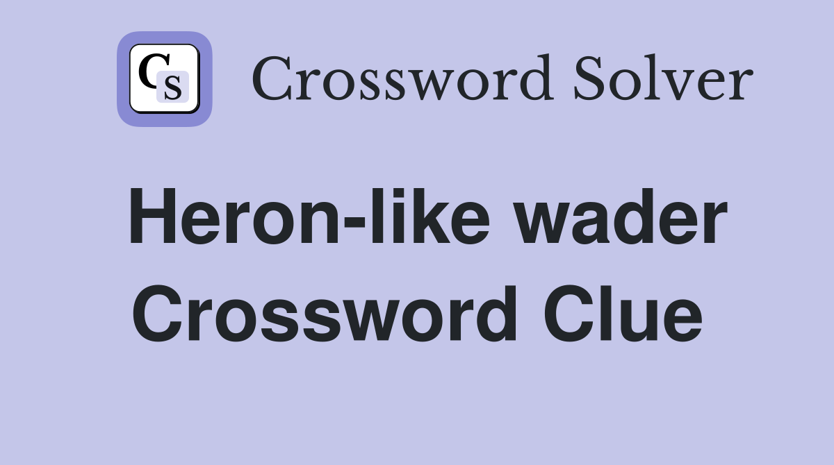 Heron-like wader Crossword Clue