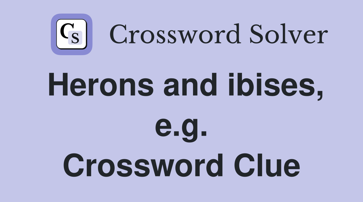 Herons and ibises, e.g. Crossword Clue