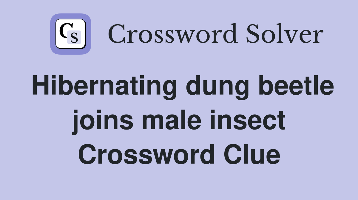 Hibernating dung beetle joins male insect Crossword Clue
