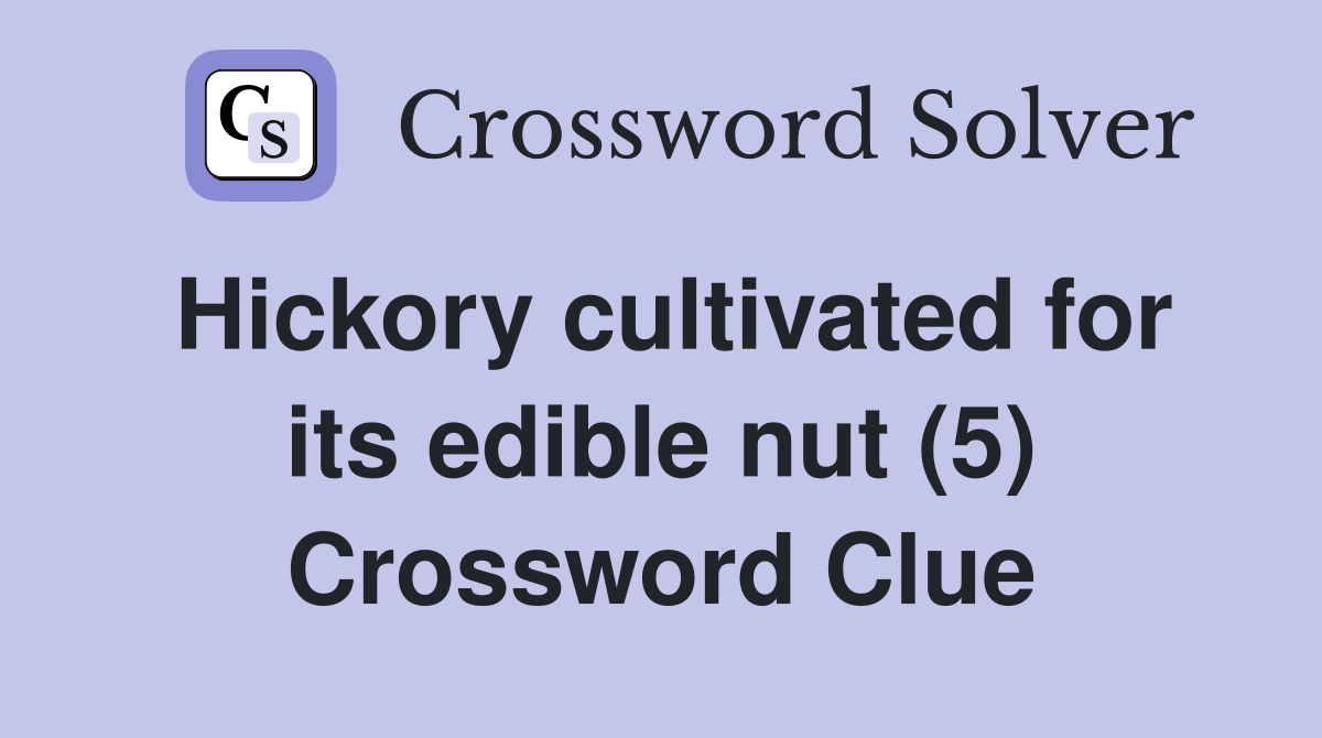 Hickory cultivated for its edible nut (5) Crossword Clue