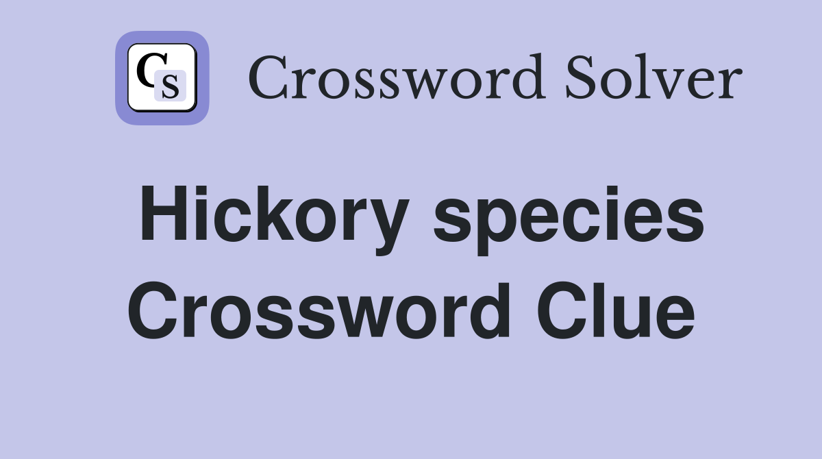 Hickory species Crossword Clue
