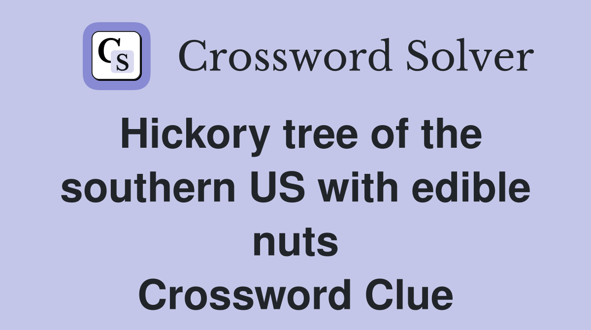 Hickory tree of the southern US with edible nuts Crossword Clue