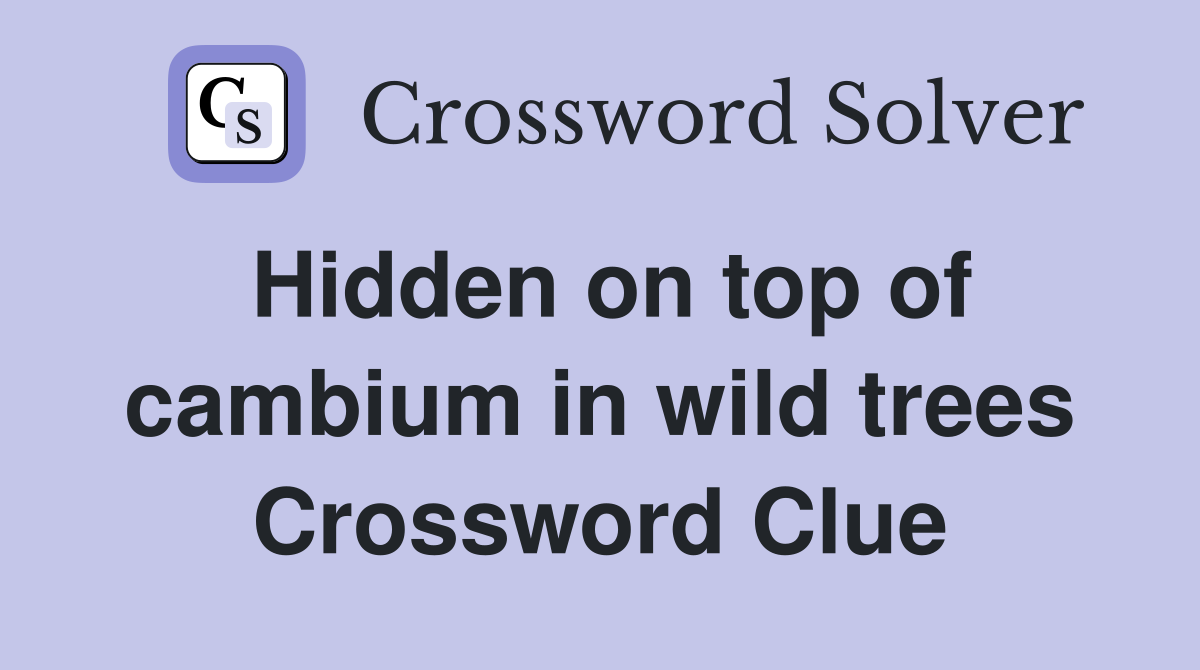Hidden on top of cambium in wild trees Crossword Clue