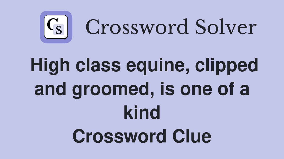 High class equine, clipped and groomed, is one of a kind Crossword Clue