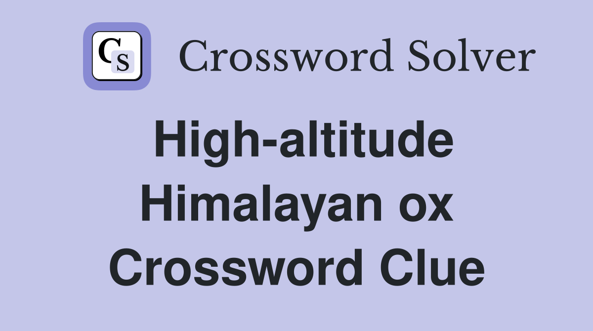 High-altitude Himalayan ox Crossword Clue