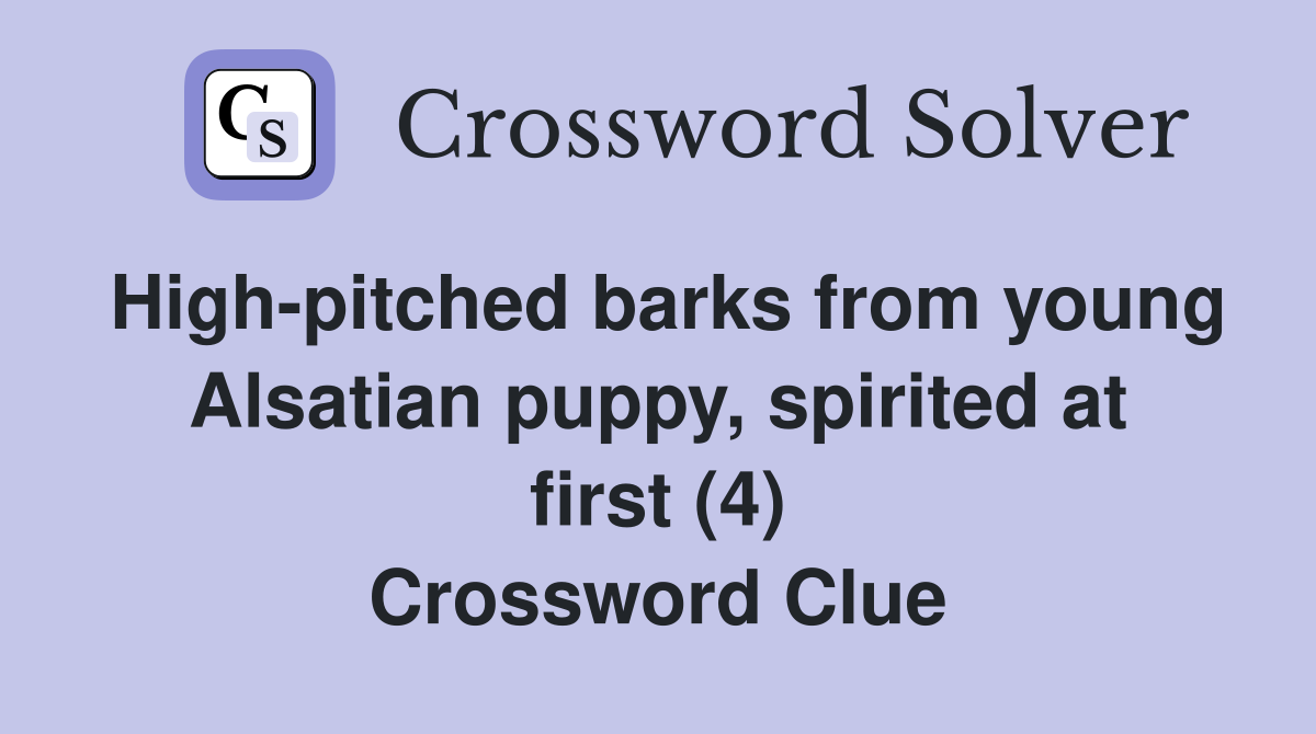 High-pitched barks from young Alsatian puppy, spirited at first (4) Crossword Clue