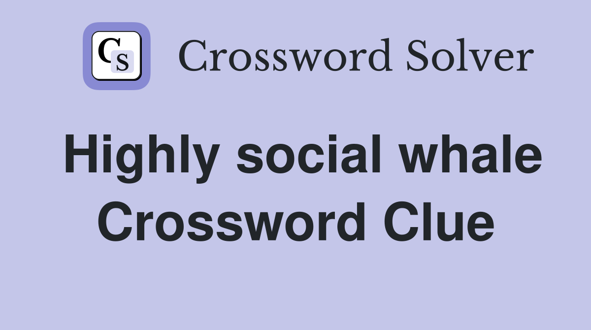 Highly social whale Crossword Clue