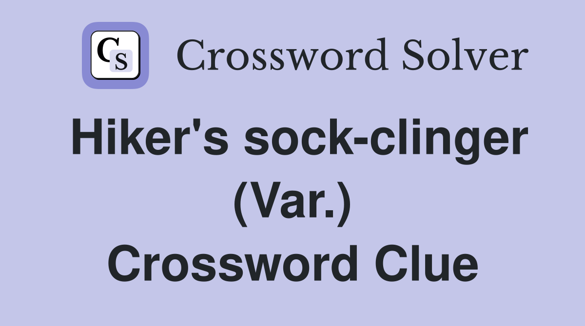 Hiker's sock-clinger (Var.) Crossword Clue