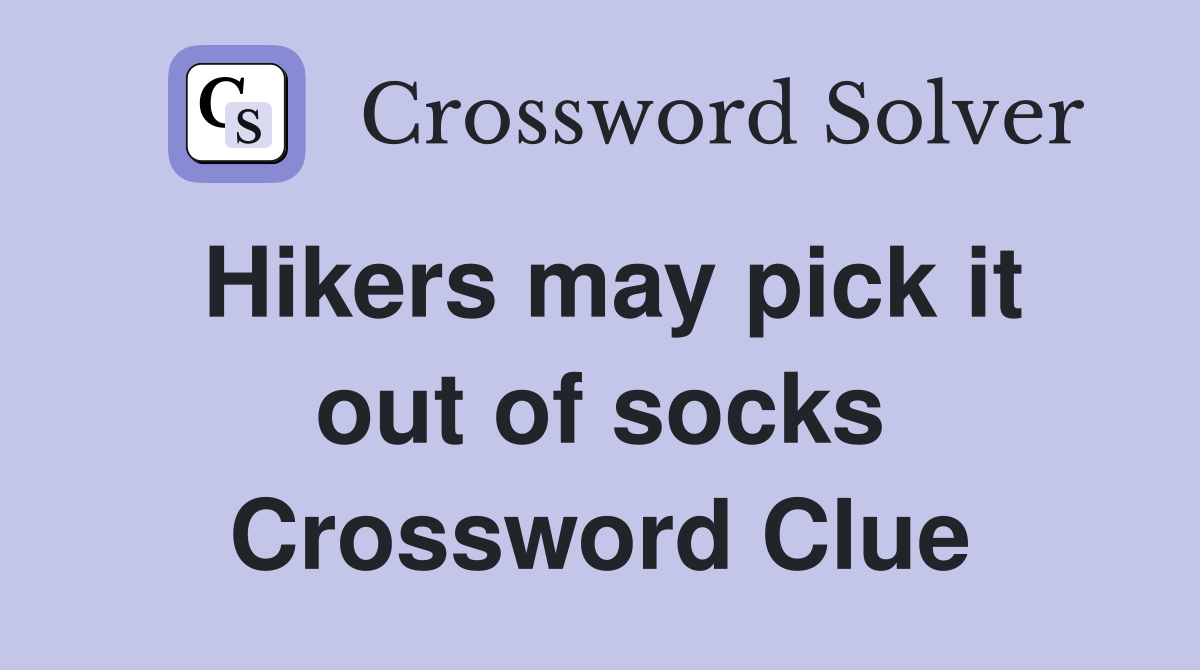 Hikers may pick it out of socks Crossword Clue