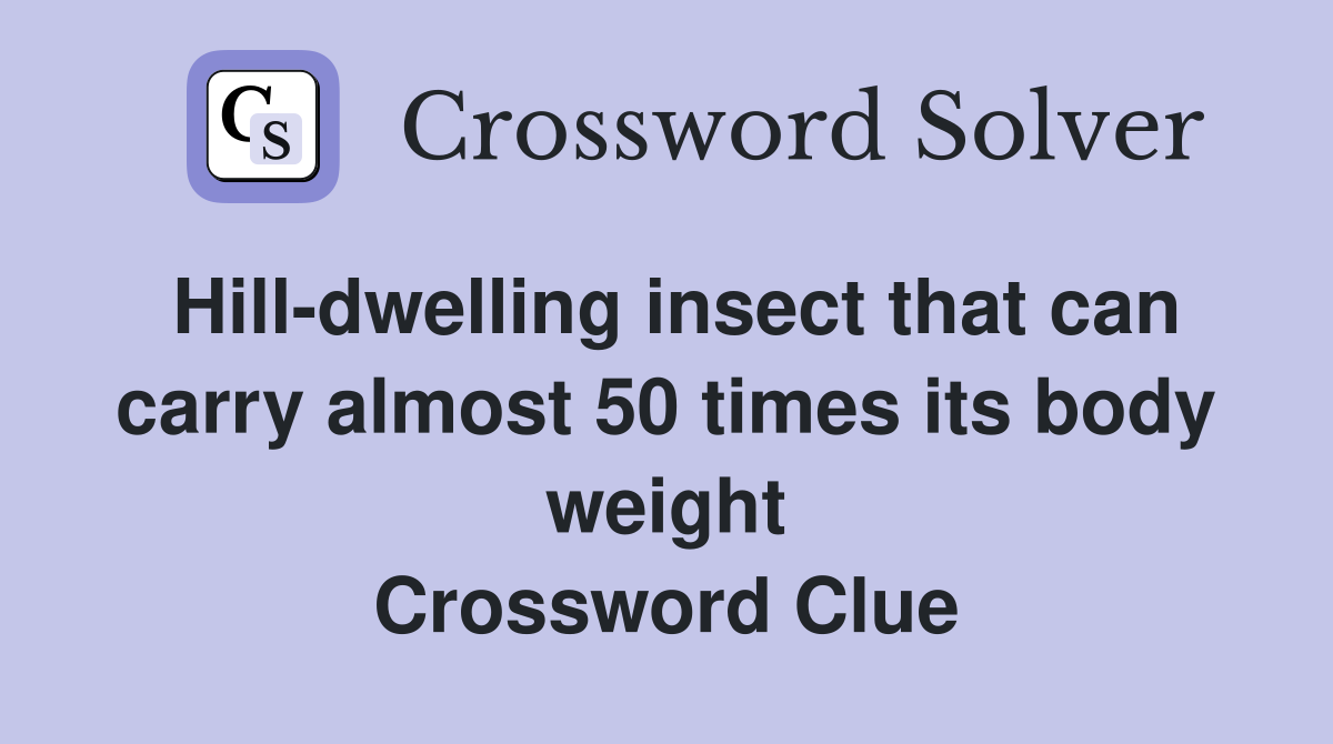 Hill-dwelling insect that can carry almost 50 times its body weight Crossword Clue