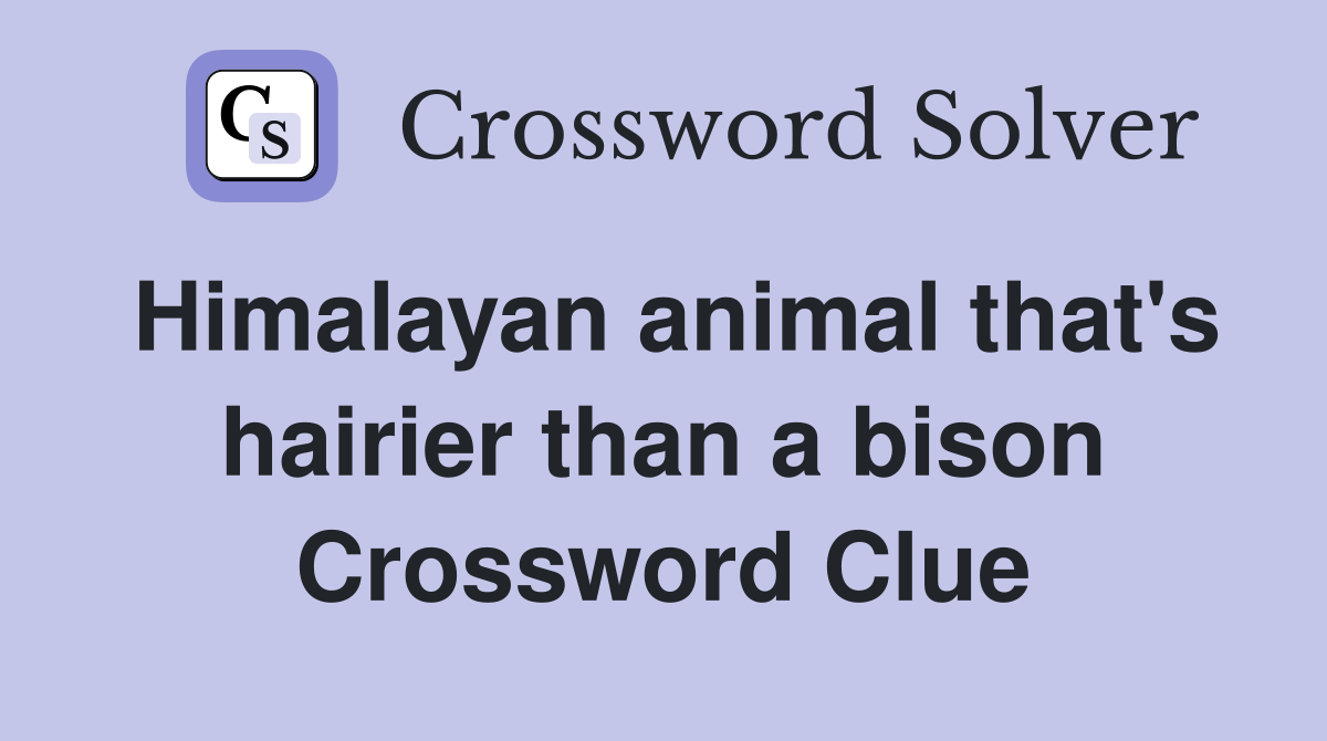 Himalayan animal that's hairier than a bison Crossword Clue