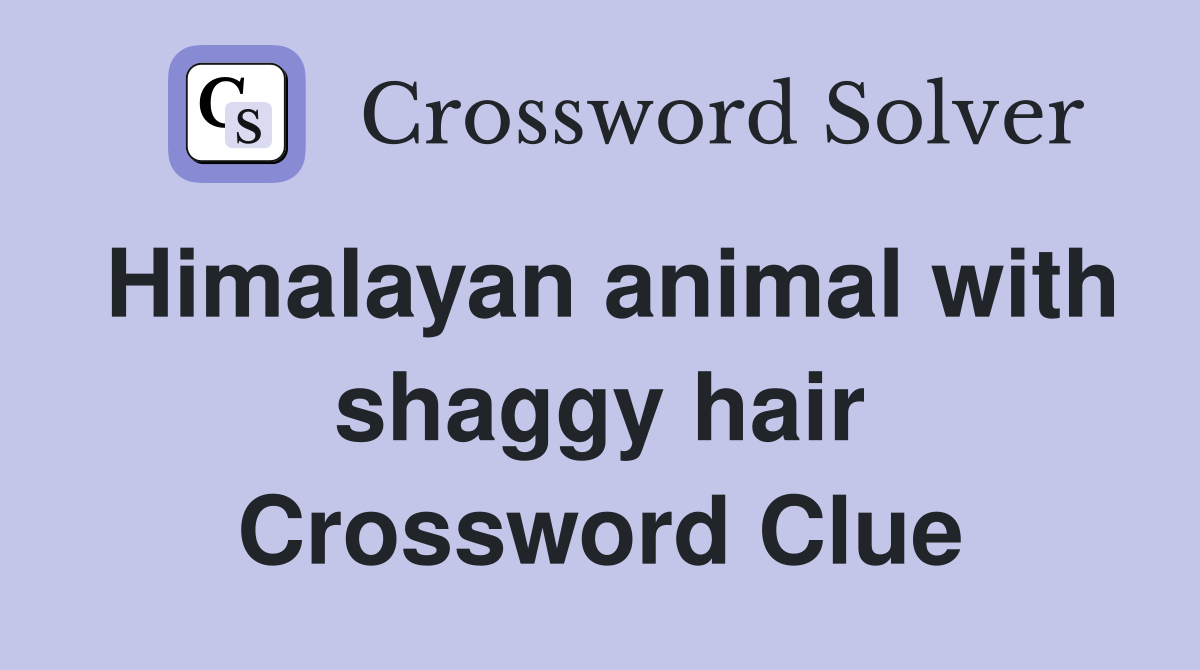 Himalayan animal with shaggy hair Crossword Clue