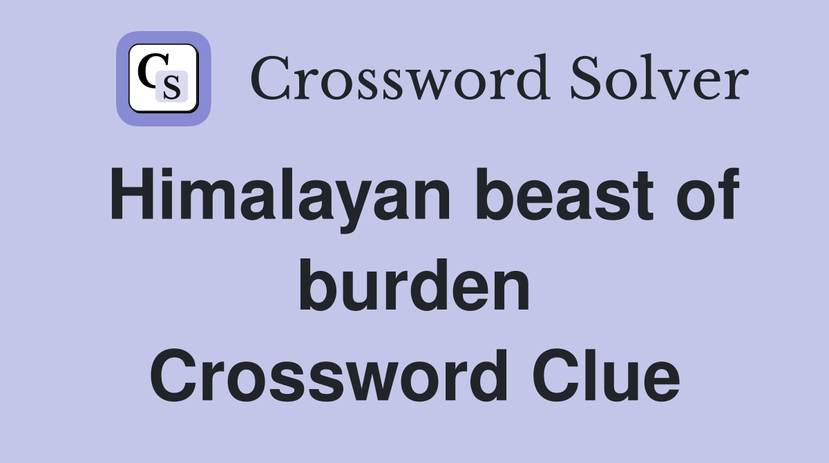 Himalayan beast of burden Crossword Clue