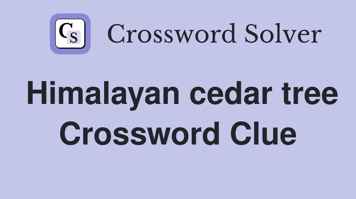 Himalayan cedar tree Crossword Clue