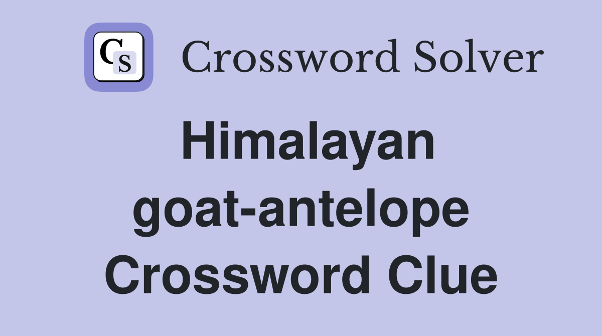 Himalayan goat-antelope Crossword Clue