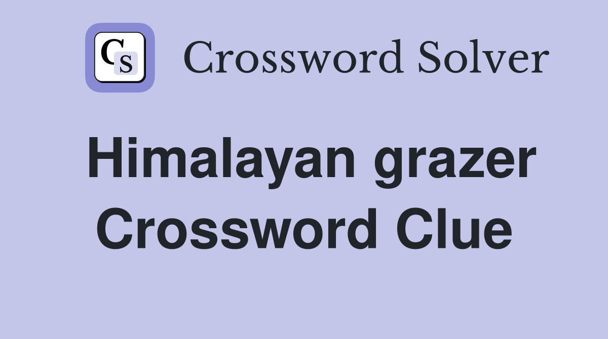 Himalayan grazer Crossword Clue