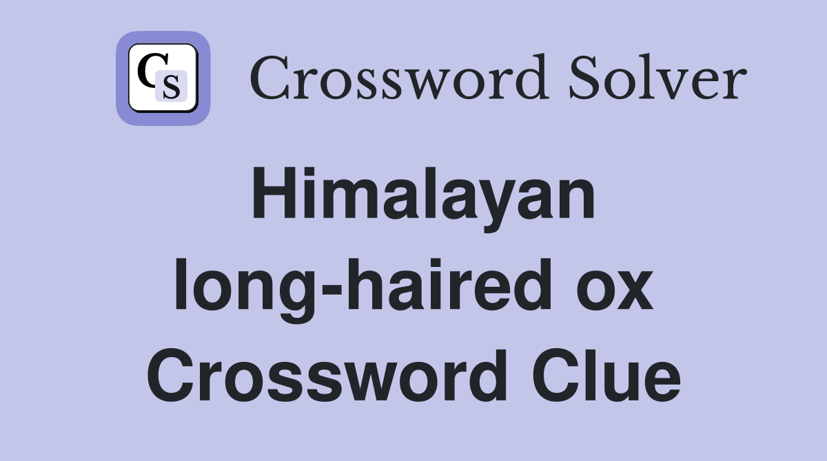 Himalayan long-haired ox Crossword Clue