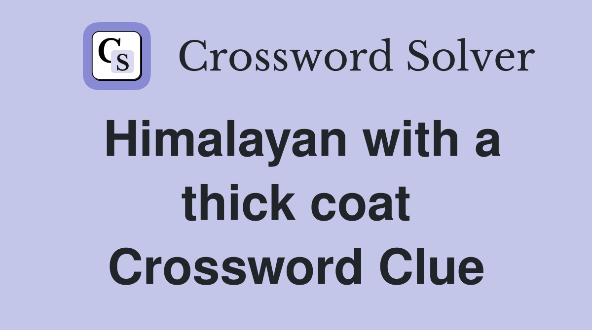Himalayan with a thick coat Crossword Clue