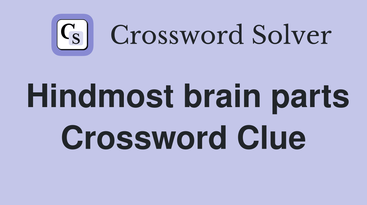 Hindmost brain parts Crossword Clue