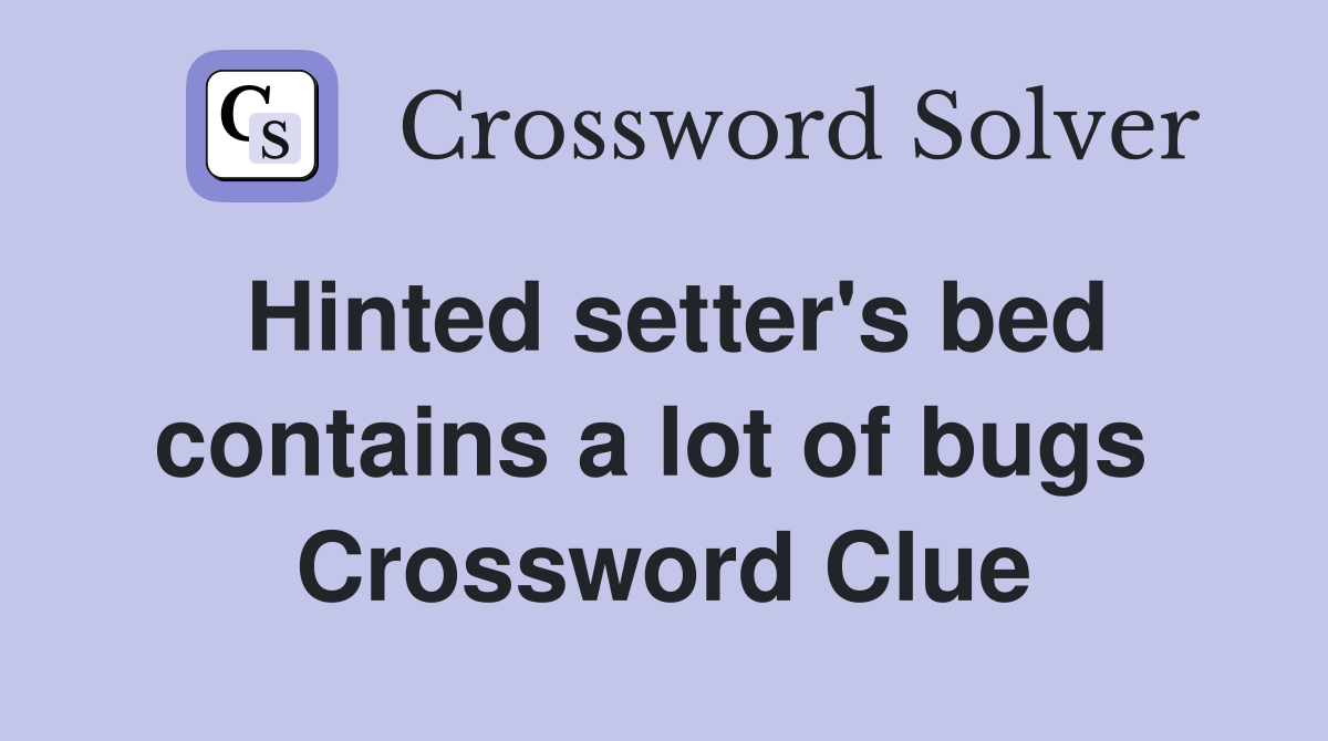 Hinted setter's bed contains a lot of bugs  Crossword Clue