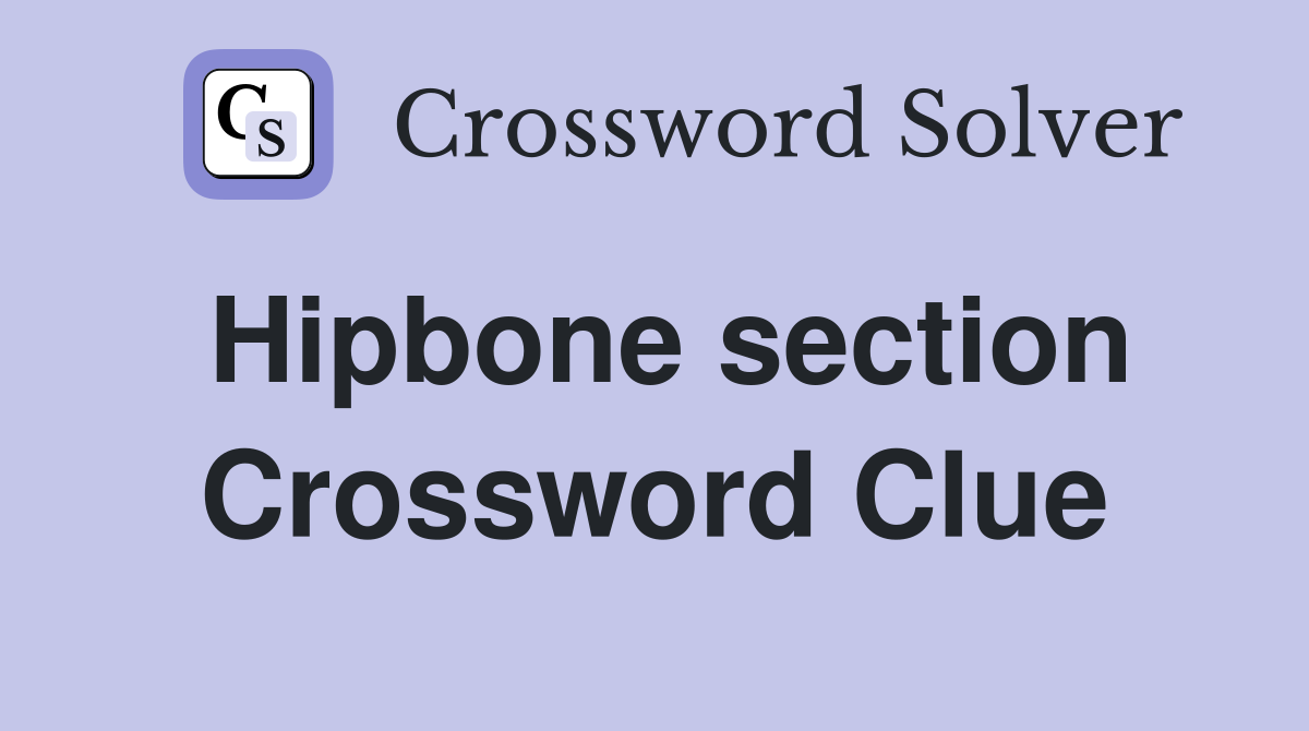 Hipbone section Crossword Clue