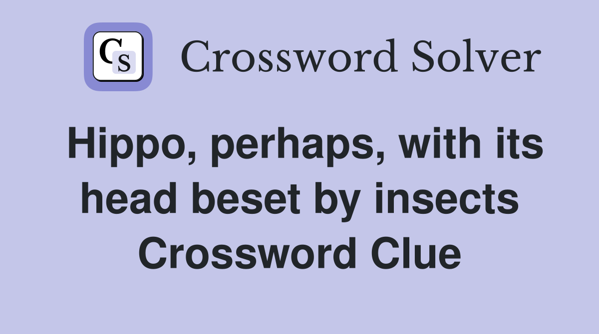 Hippo, perhaps, with its head beset by insects Crossword Clue