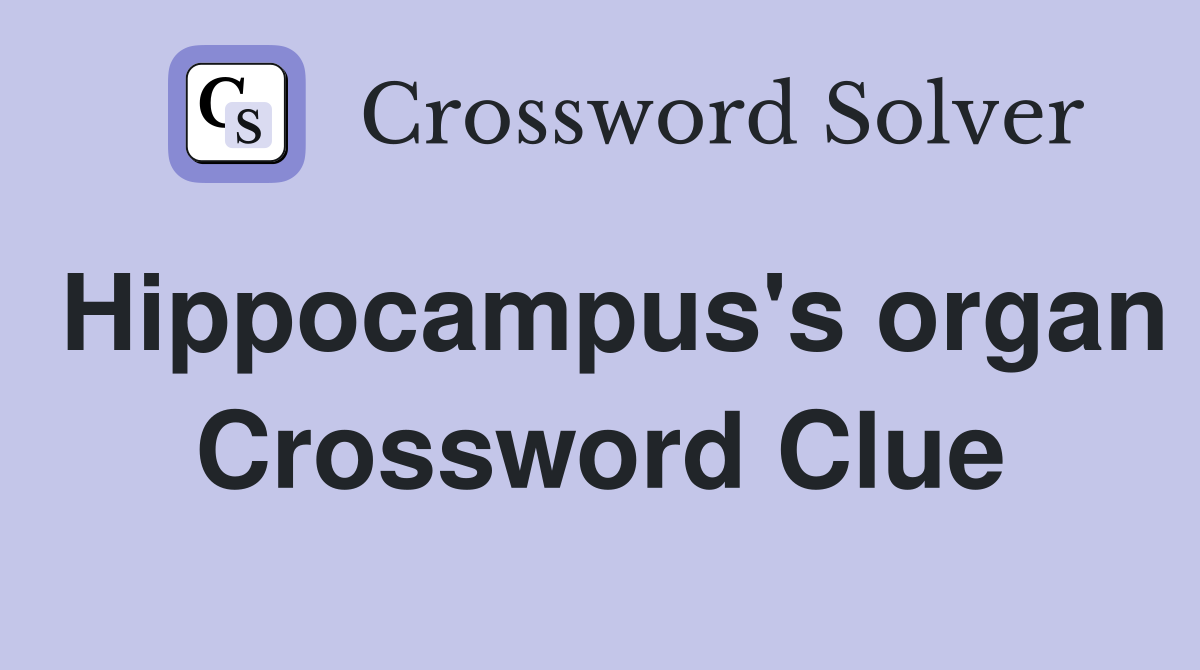 Hippocampus's organ Crossword Clue