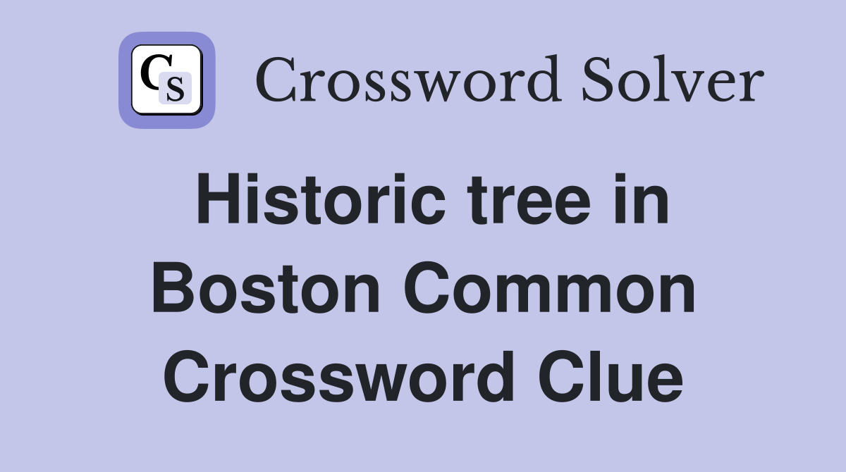Historic tree in Boston Common Crossword Clue