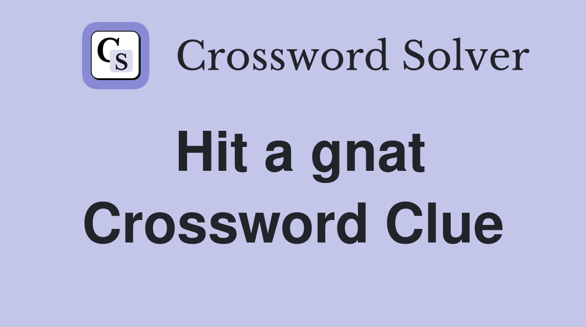 Hit a gnat Crossword Clue