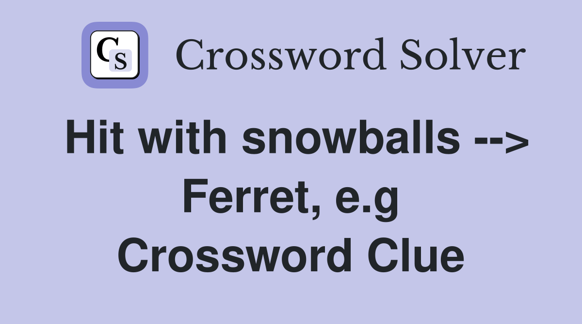 Hit with snowballs --> Ferret, e.g Crossword Clue
