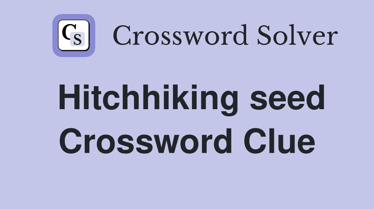 Hitchhiking seed Crossword Clue