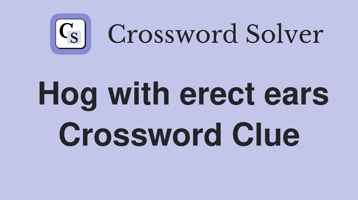 Hog with erect ears Crossword Clue