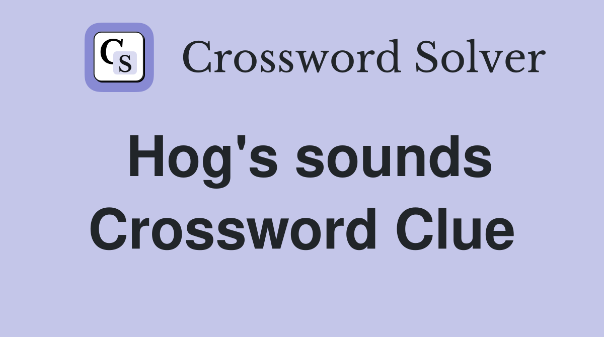 Hog's sounds Crossword Clue