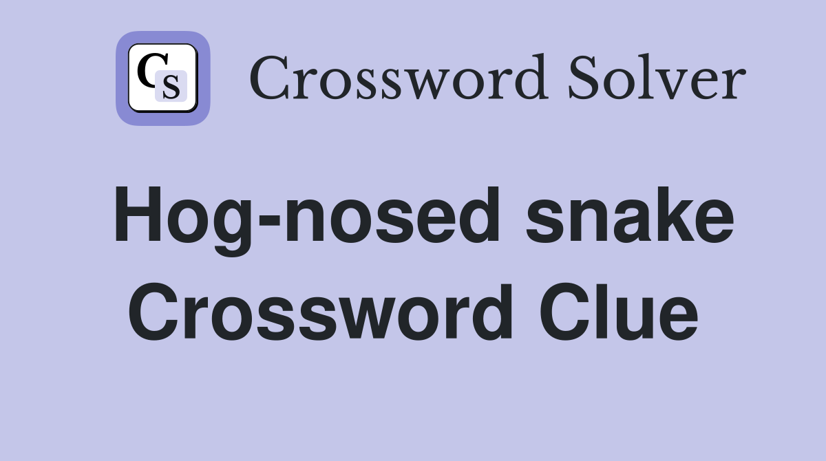 Hog-nosed snake Crossword Clue