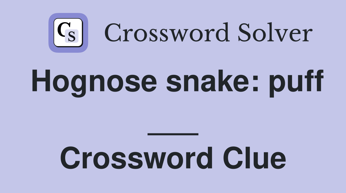 Hognose snake: puff ___ Crossword Clue
