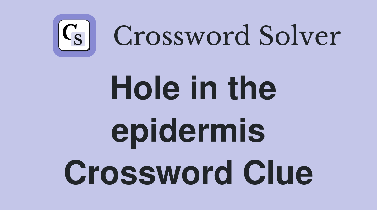 Hole in the epidermis Crossword Clue