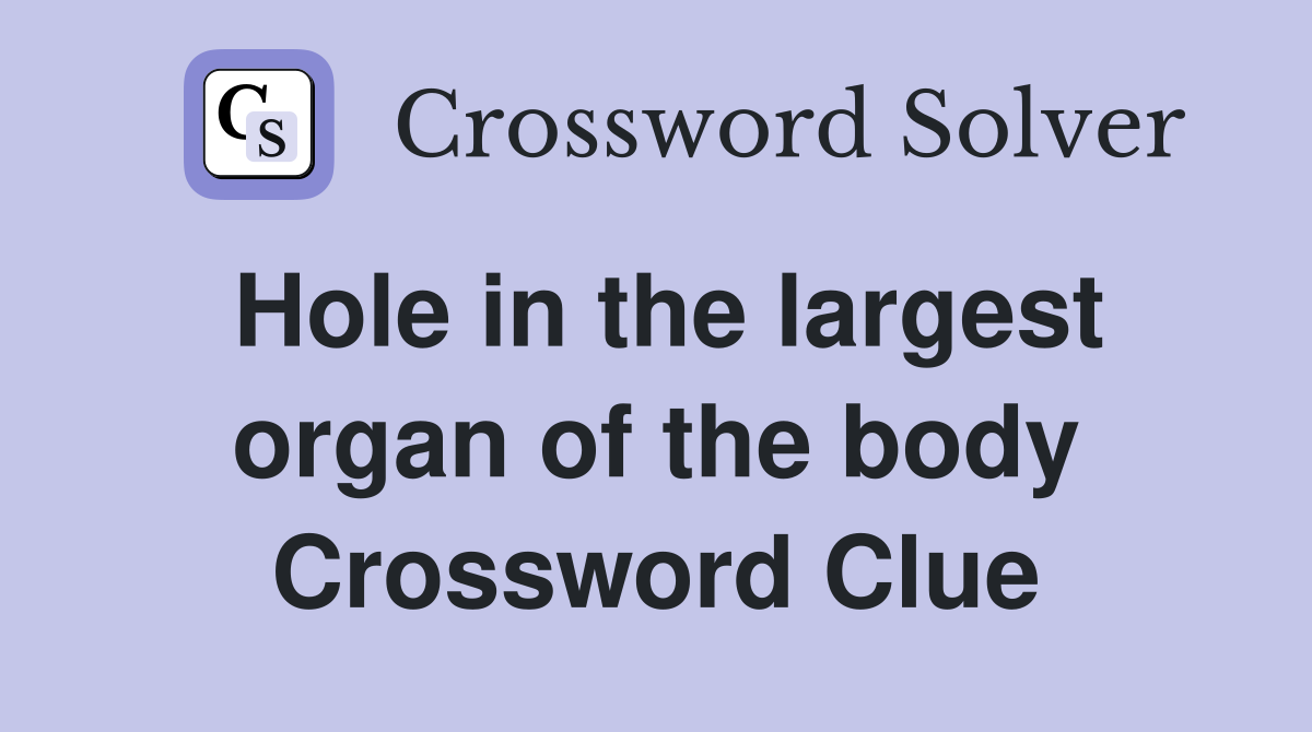 Hole in the largest organ of the body Crossword Clue